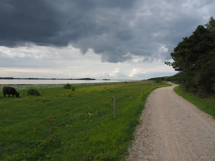 Halshuisene + Enebaerodde Beach (Denemarken)